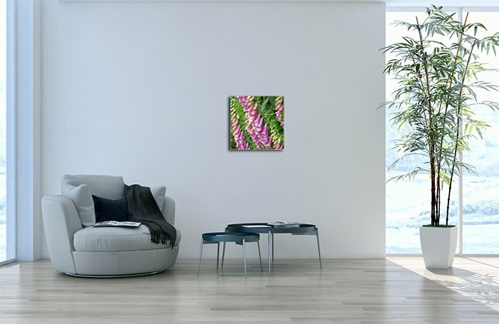 Leinwandbild Quadratisch Fingerhut pink