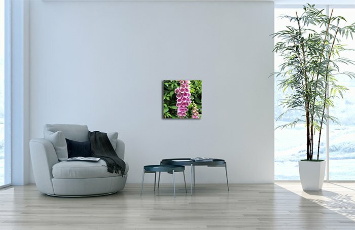 Leinwandbild Quadratisch Fingerhut II