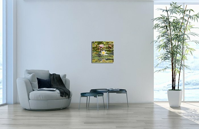 Leinwandbild Quadratisch Seerosen
