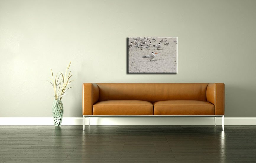 Leinwandbild Möwen am Strand