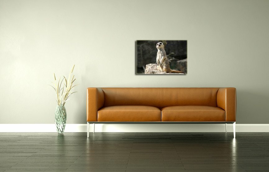 Leinwandbild Erdmännchen I