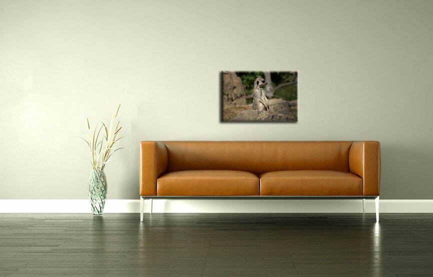 Leinwandbild Erdmännchen II