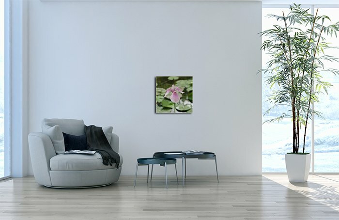 Leinwandbild Quadratisch Blüte Lila