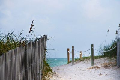 Kunstdruck auf Leinwand Dünenpfad
