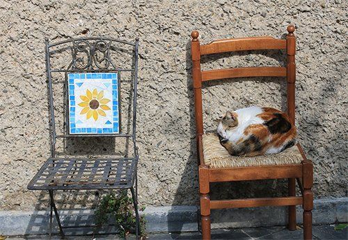 Kunstdruck auf Leinwand Siesta Kunstdruck auf Leinwand Siesta