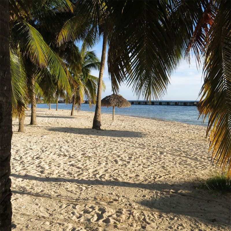 Kunstdruck auf Leinwand Quadratisch Strand mit Palmen