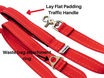 DOUBLE HANDLE LEASH  - 1" (w/ HD Lobster claw clip)
