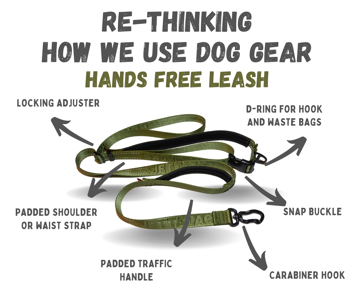 Hands Free Leash
