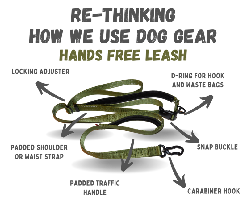 Hands Free Leash