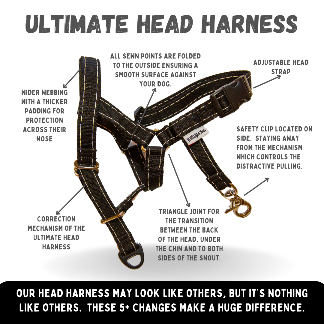 The ULTIMATE HEAD HARNESS