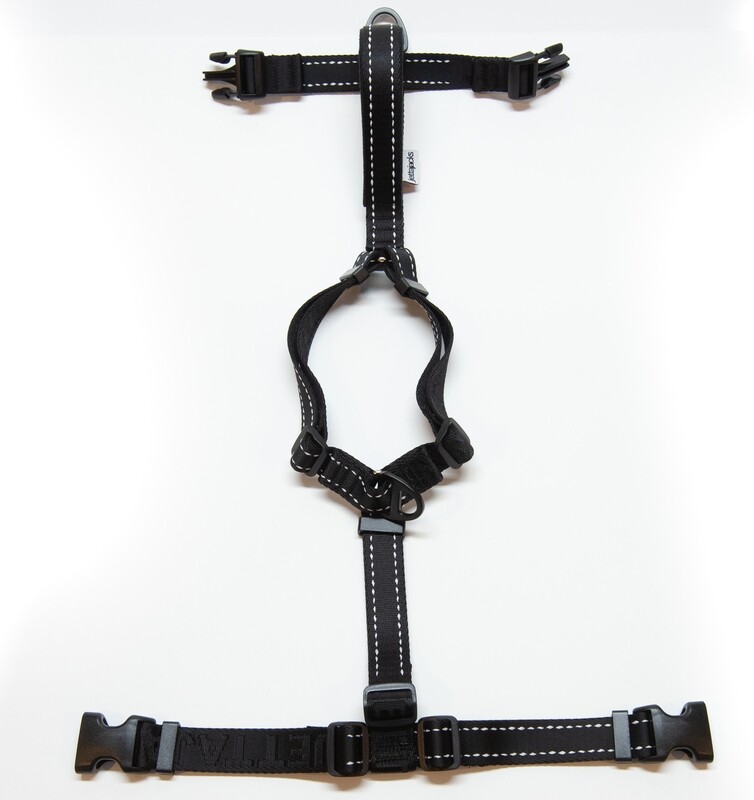 Fluid / Double Handle Leash - Jetta Black