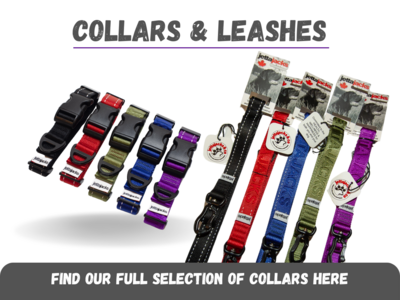 Collars &amp; Leashes