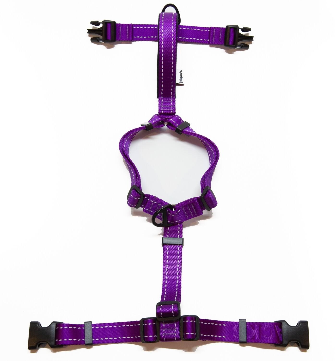 Fluid / Double Handle Leash - Very Purple