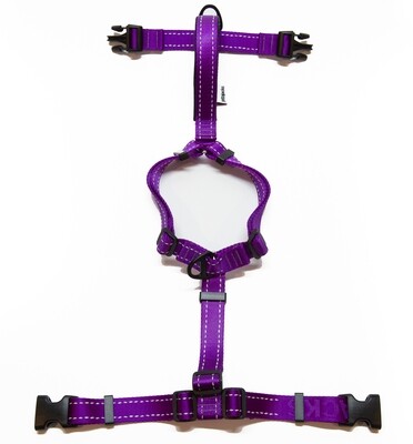 Fluid / Double Handle Leash - Very Purple