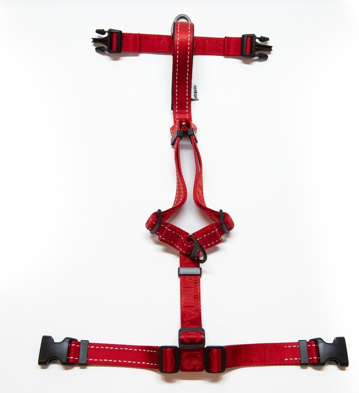 Fluid / Double Handle Leash - Canadian Red