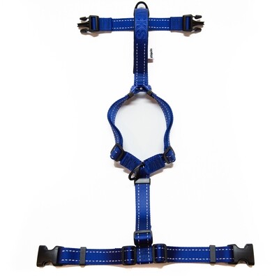 Fluid / Double Handle Leash - Nautical Blue