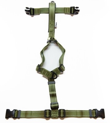 Fluid / Double Handle Leash - Army Green