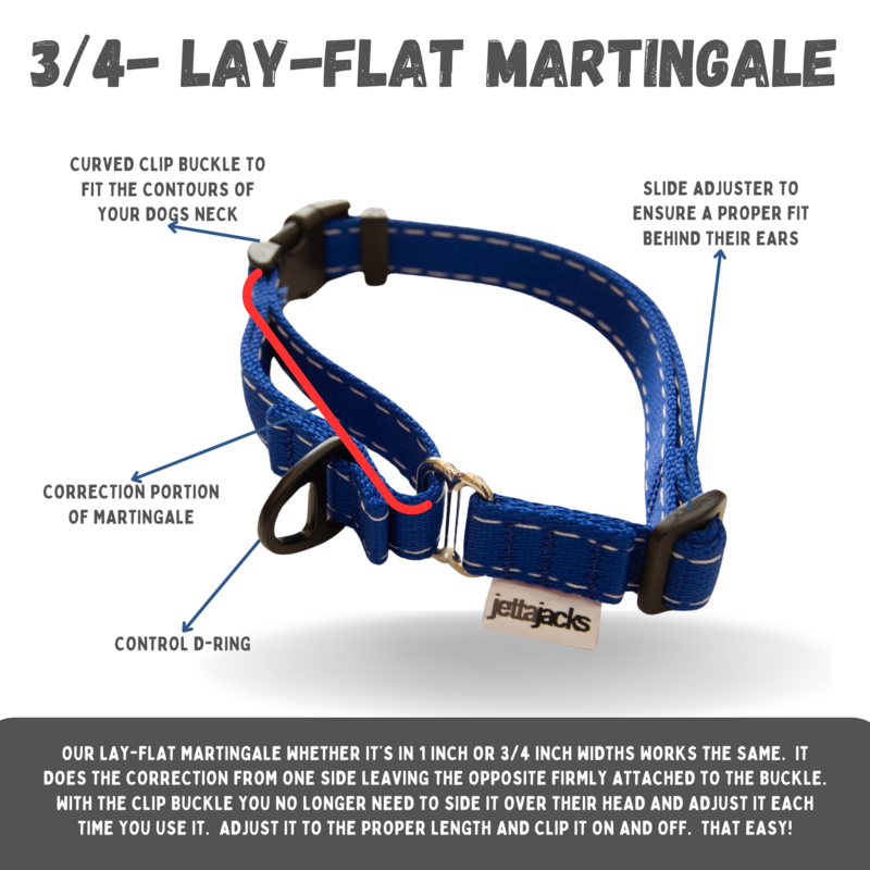 3/4&quot; - LAY-FLAT MARTINGALE COLLARS (WITH BUCKLE)
