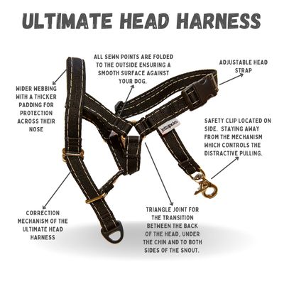 The ULTIMATE HEAD HARNESS