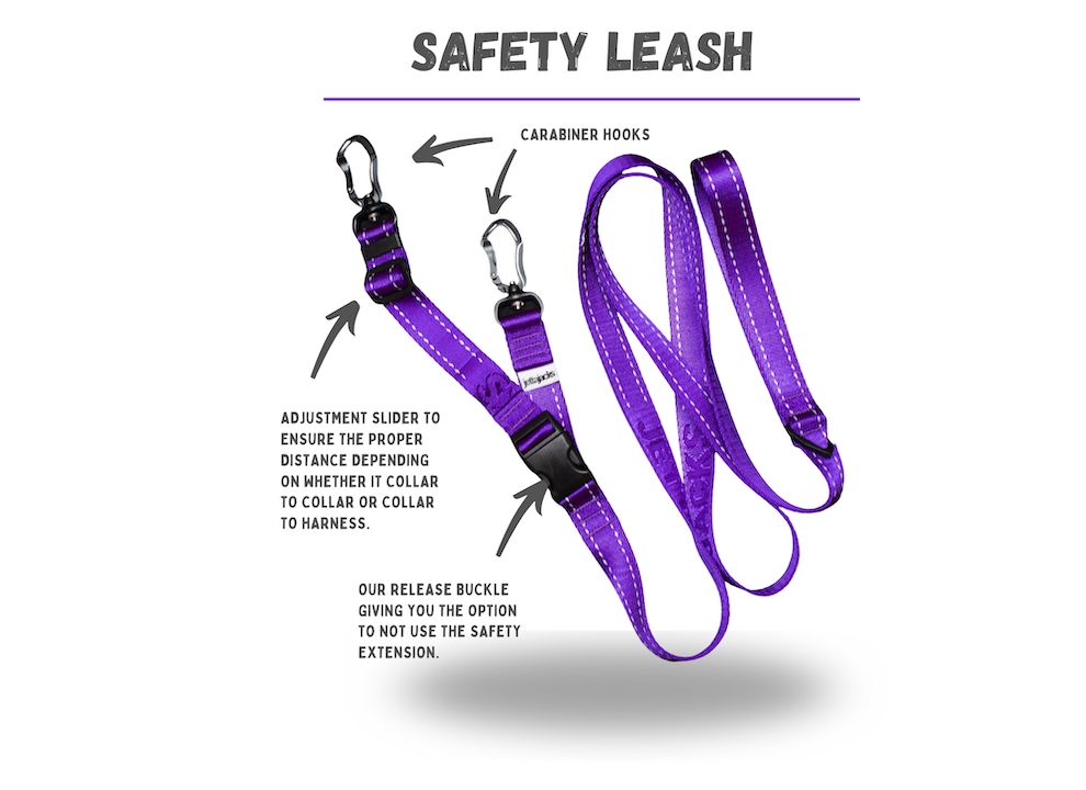 SAFETY LEASH  (with adjustable &amp; detachable back-up )