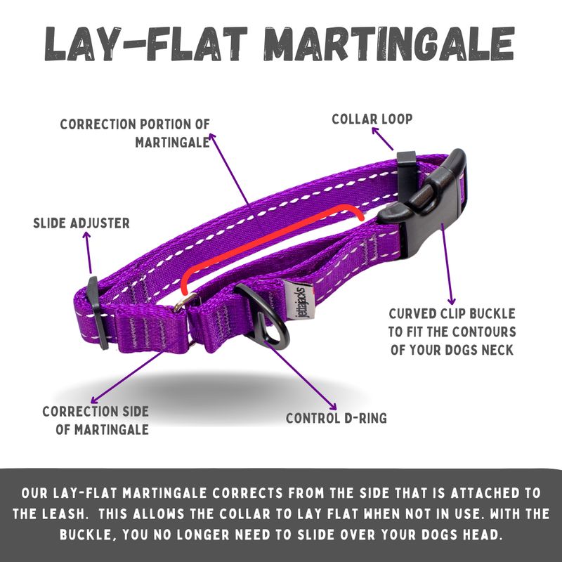 1" - LAY-FLAT MARTINGALE COLLARS (WITH BUCKLE)