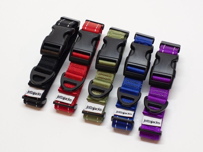 Everyday Dog Collar – 1”