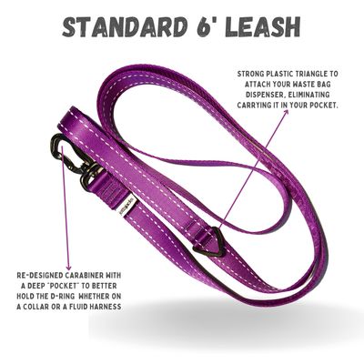 Everyday Dog Leash – 6 ft | 1”