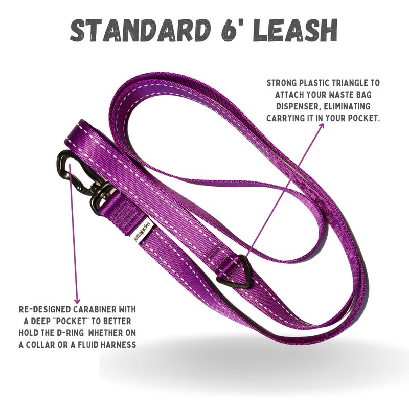 Everyday Dog Leash – 6 ft | 1”