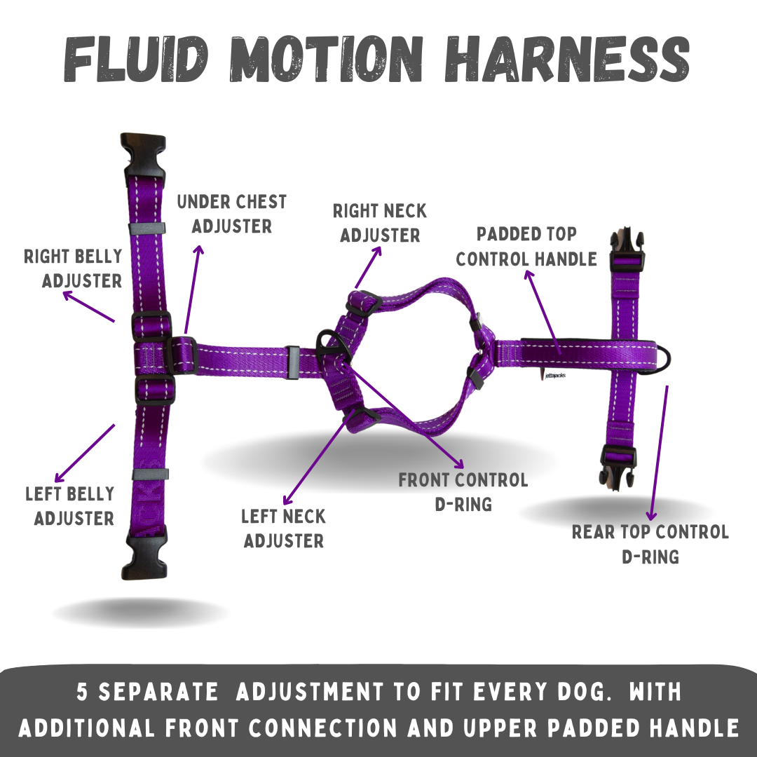 Fluid Motion Y-Front Dog Harness - 1"