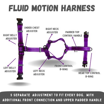 Fluid Motion Y-Front Dog Harness - 1"