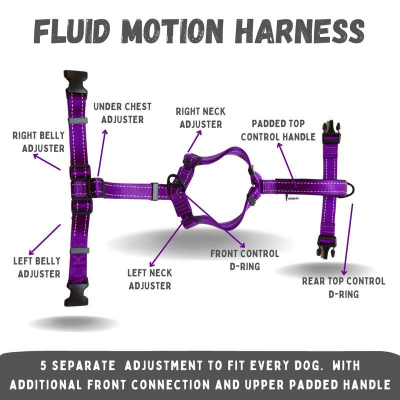 Fluid Motion Y-Front Dog Harness - 1"