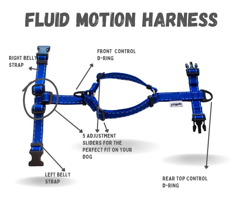 Fluid Motion Y-Front Dog Harness – ¾”