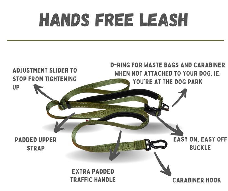 Hands-Free Dog Leash – 6 ft | 1”