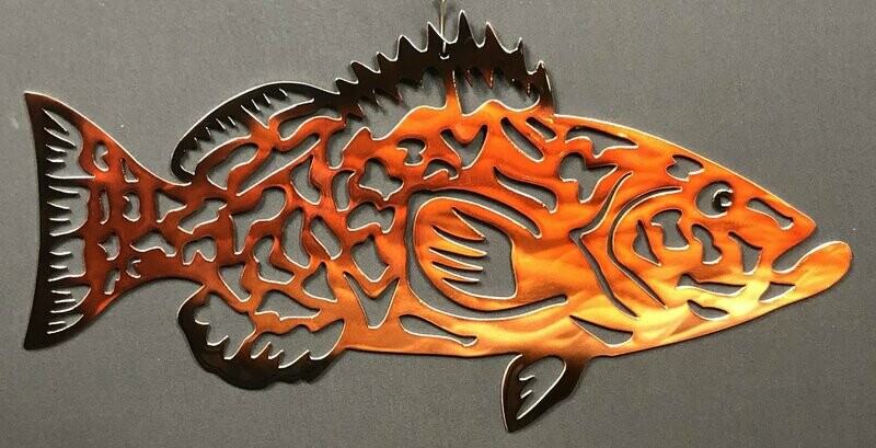 Black Gag Grouper