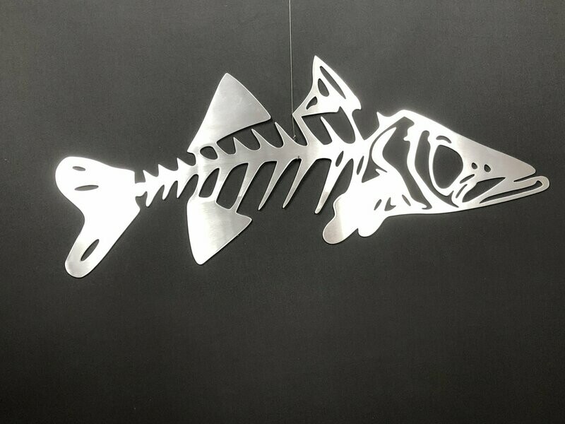 Bone Snook