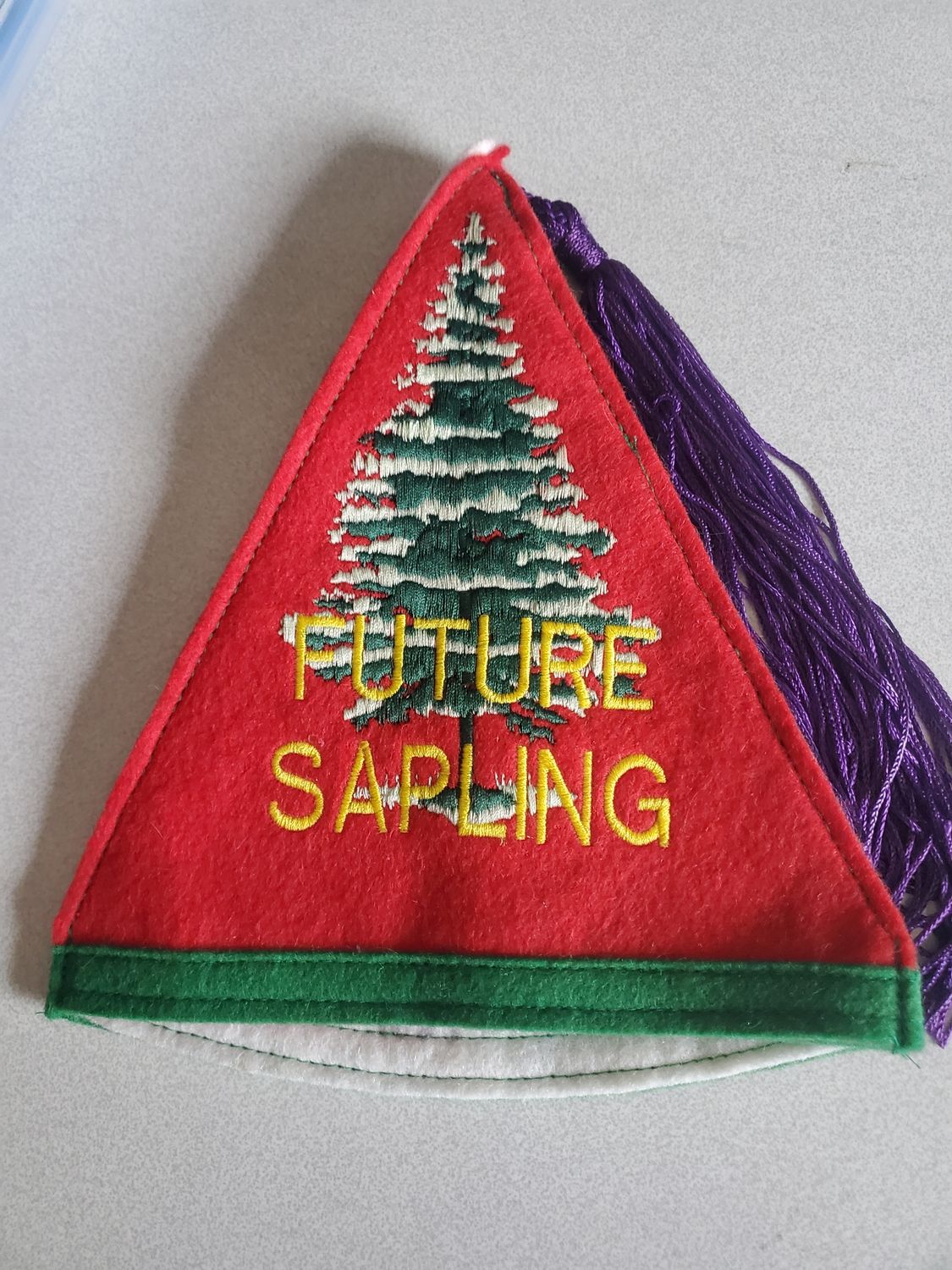 Future Sapling Pyramid