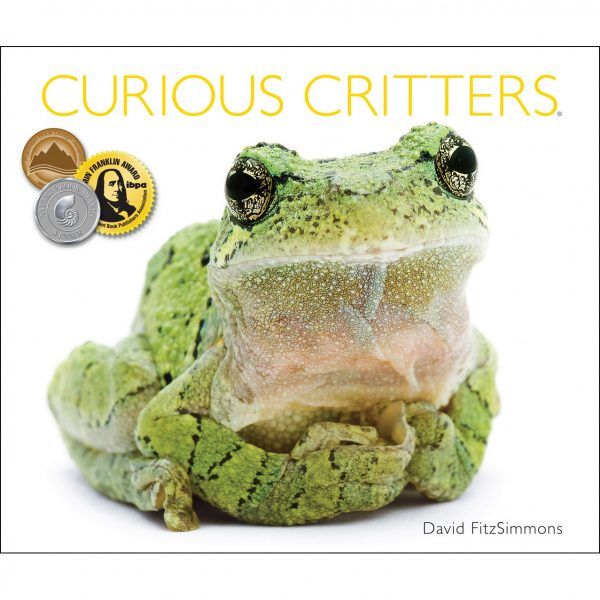 Curious Critters by David FitzSimmons