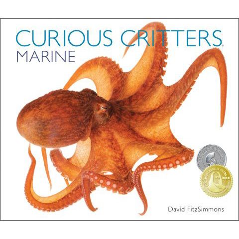 Curious Critters: Marine by David FitzSimmons