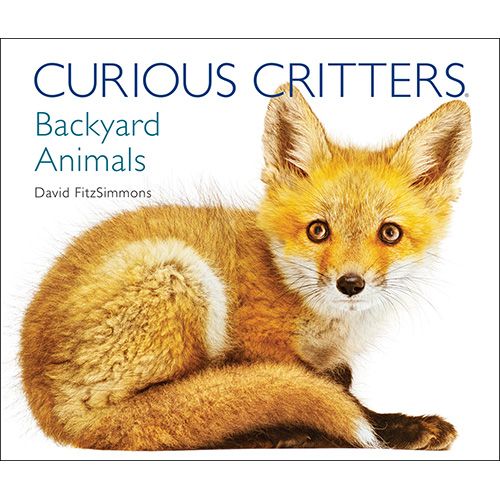 Curious Critters: Backyard Animals by David FitzSimmons