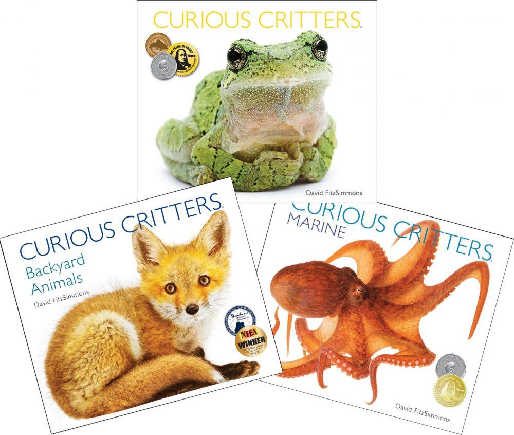 Critters Value Pack: 3 books, 2 CDs by David FitzSimmons