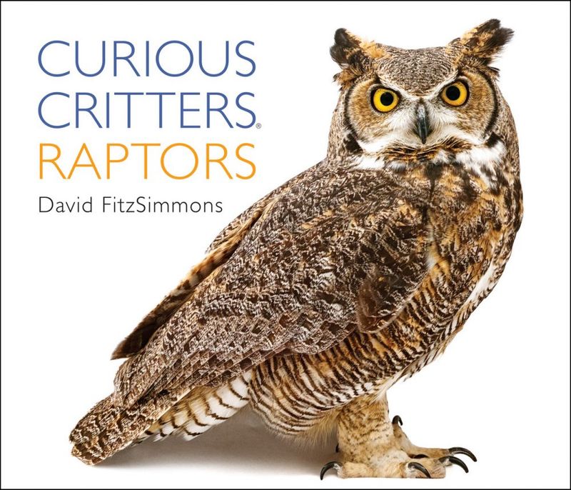 Curious Critters Raptors by David FitzSimmons
