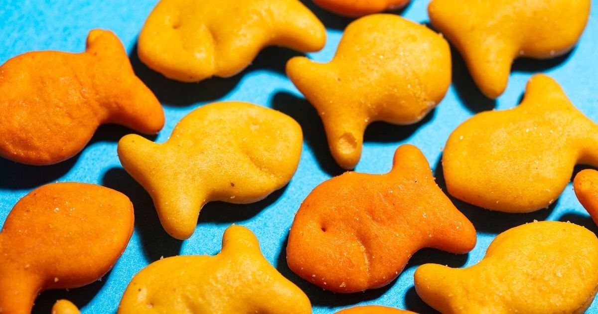 Donate for HMS testing snacks