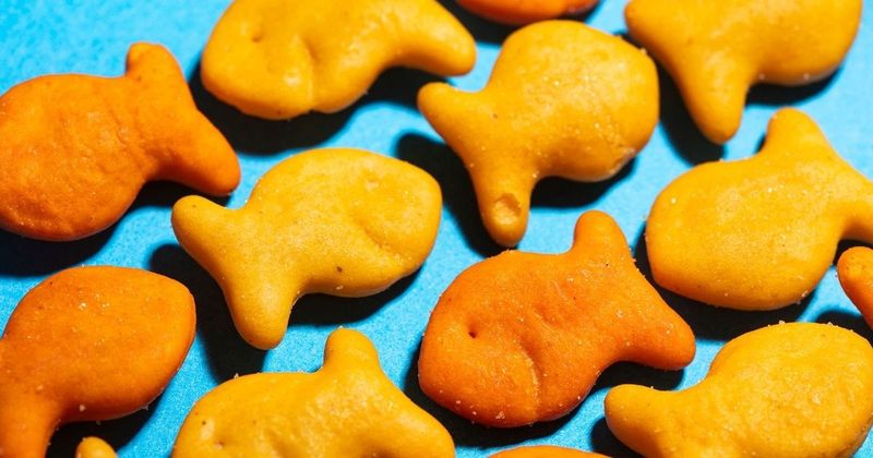 Donate for HMS testing snacks