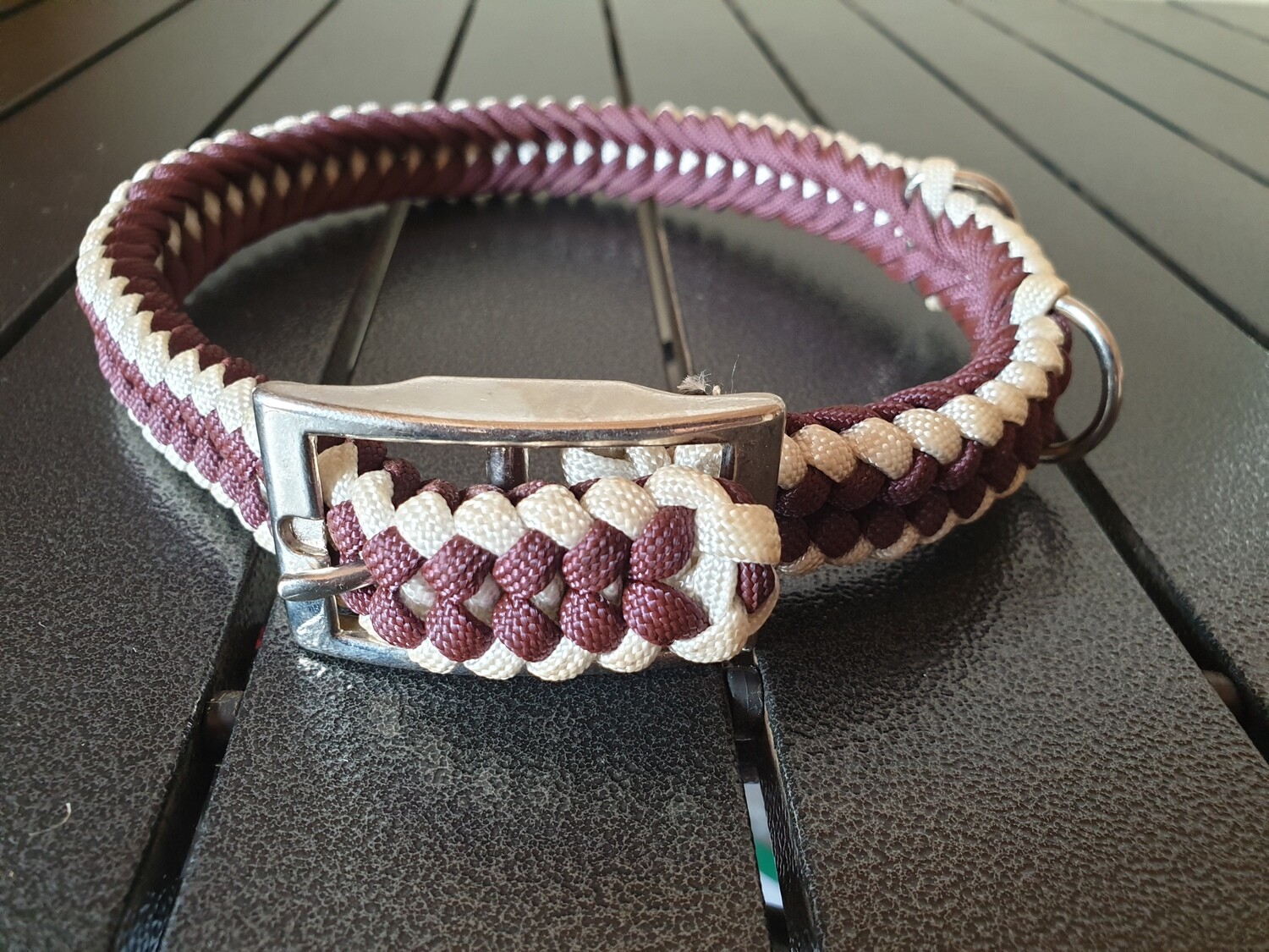 Burgundy and White Medium Collar