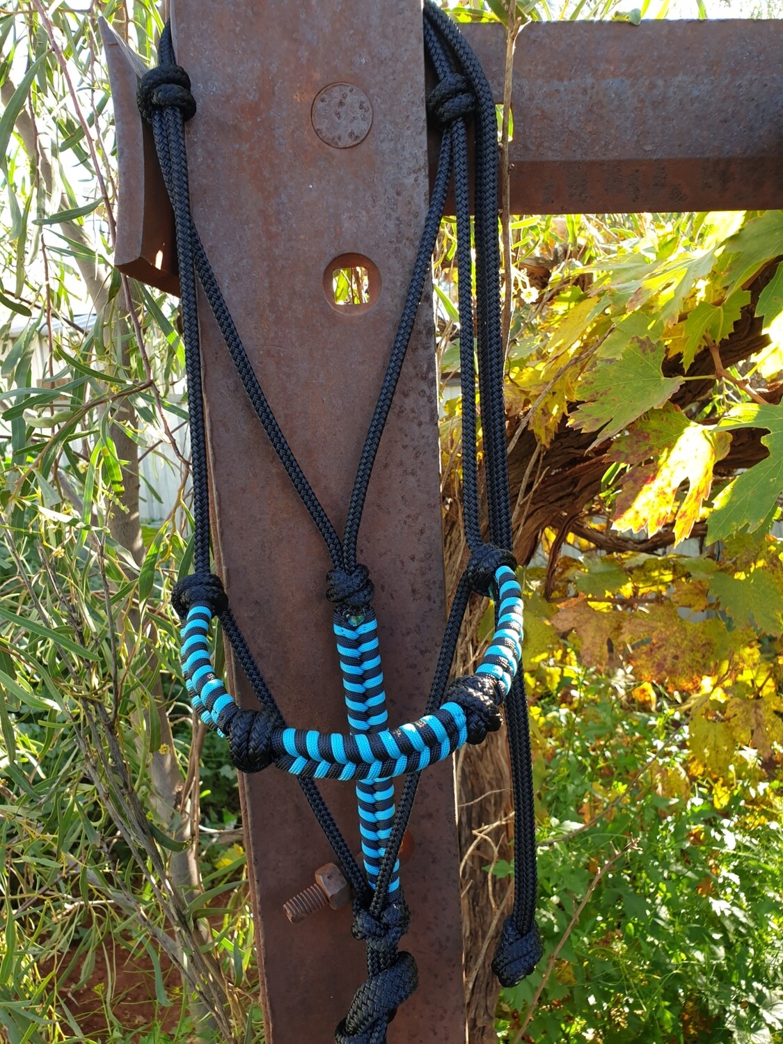 4 Knot Halter with Aztec Braid Black/Aqua