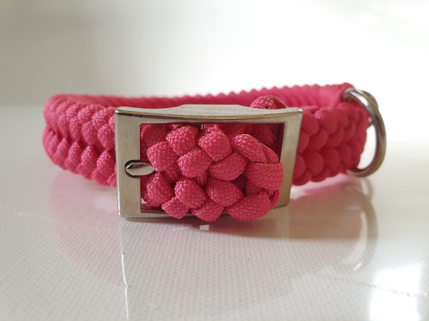 Sanctified Small Pink Dog Collar