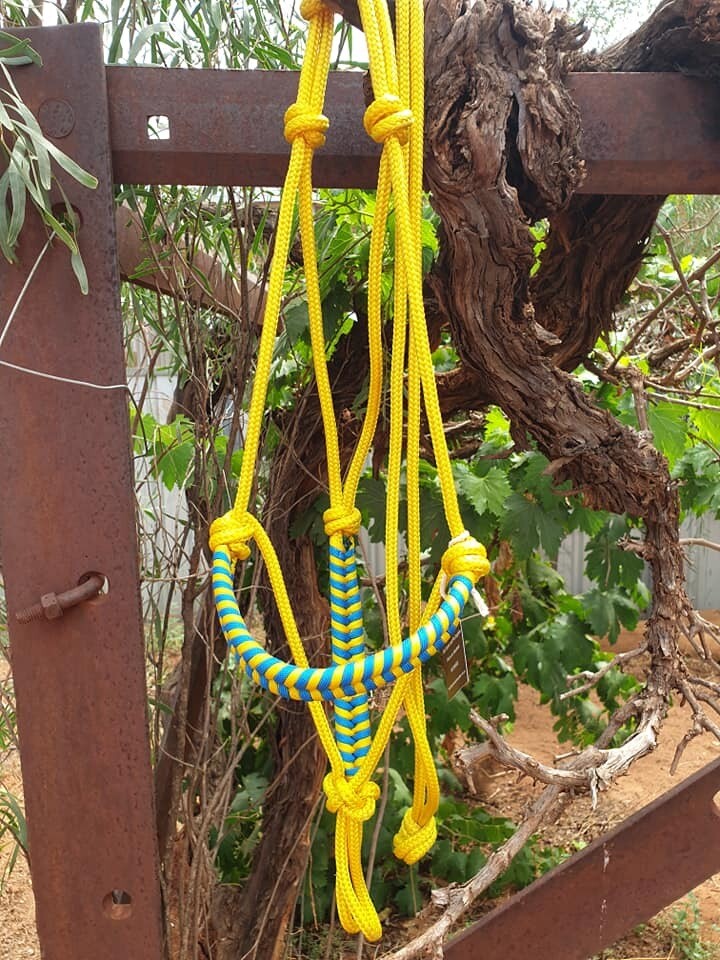 Aztec Yellow/Blue Rope Halter