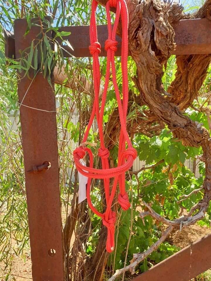 Red Rope Halter