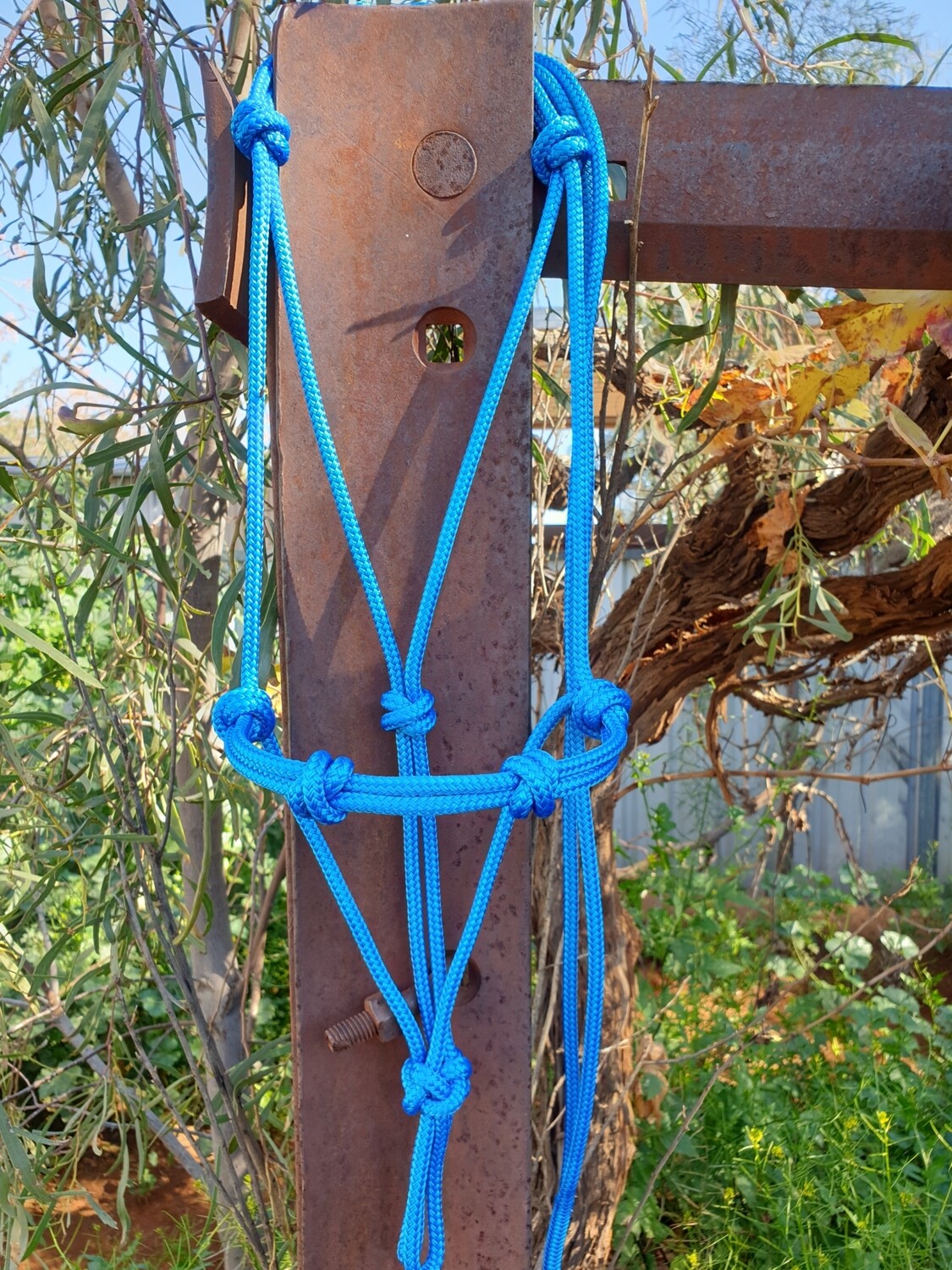 4 Knot Halter Blue