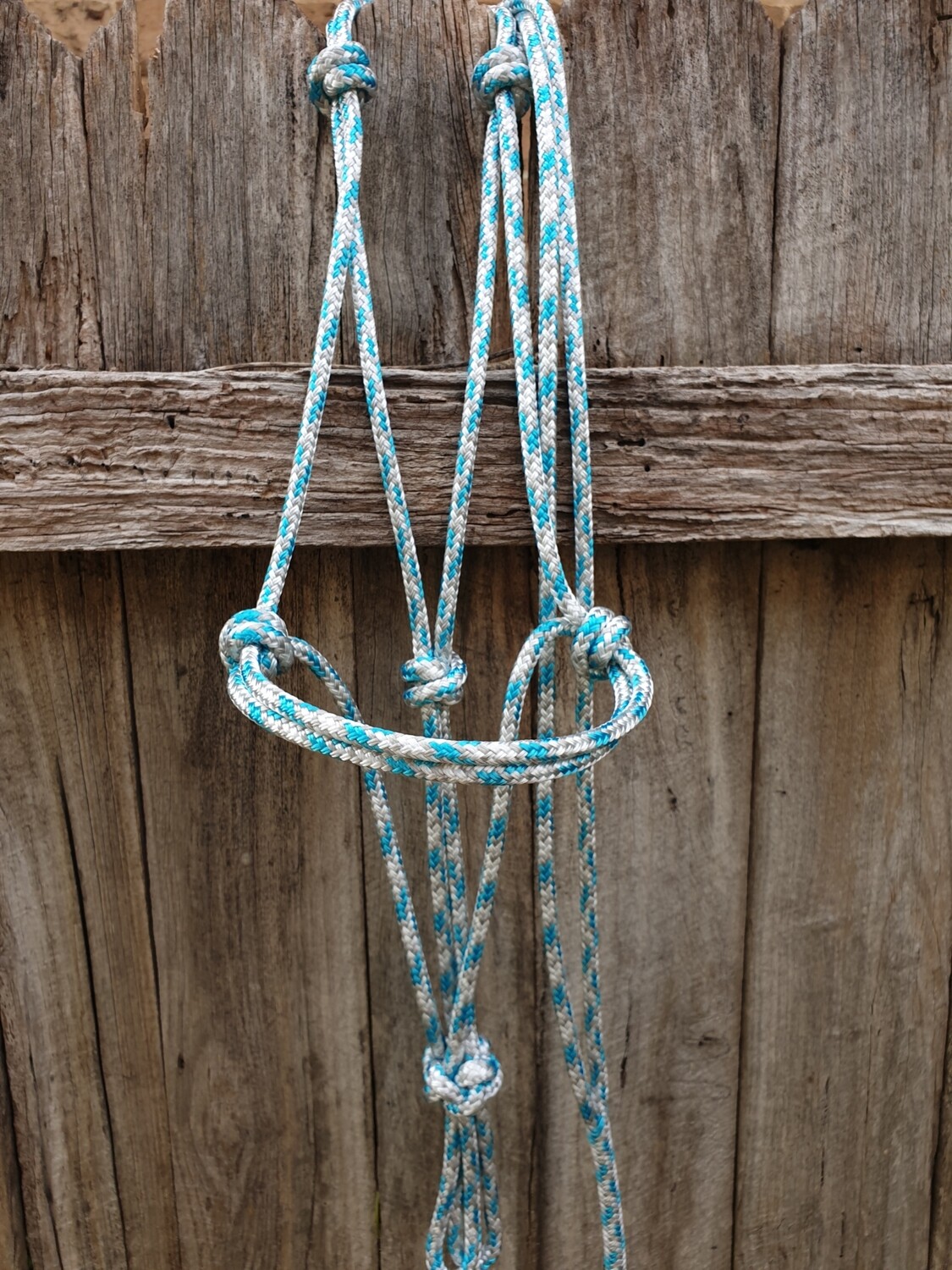 Aqua/Silver/White Rope Halter